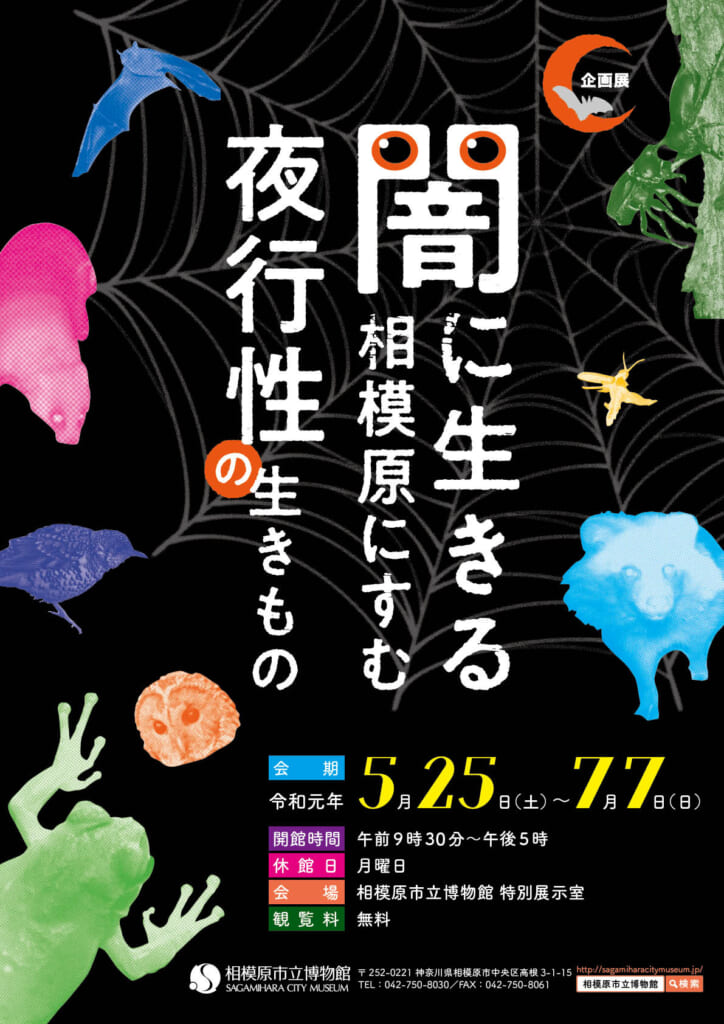 企画展「闇に生きる 相模原にすむ夜行性の生きもの」