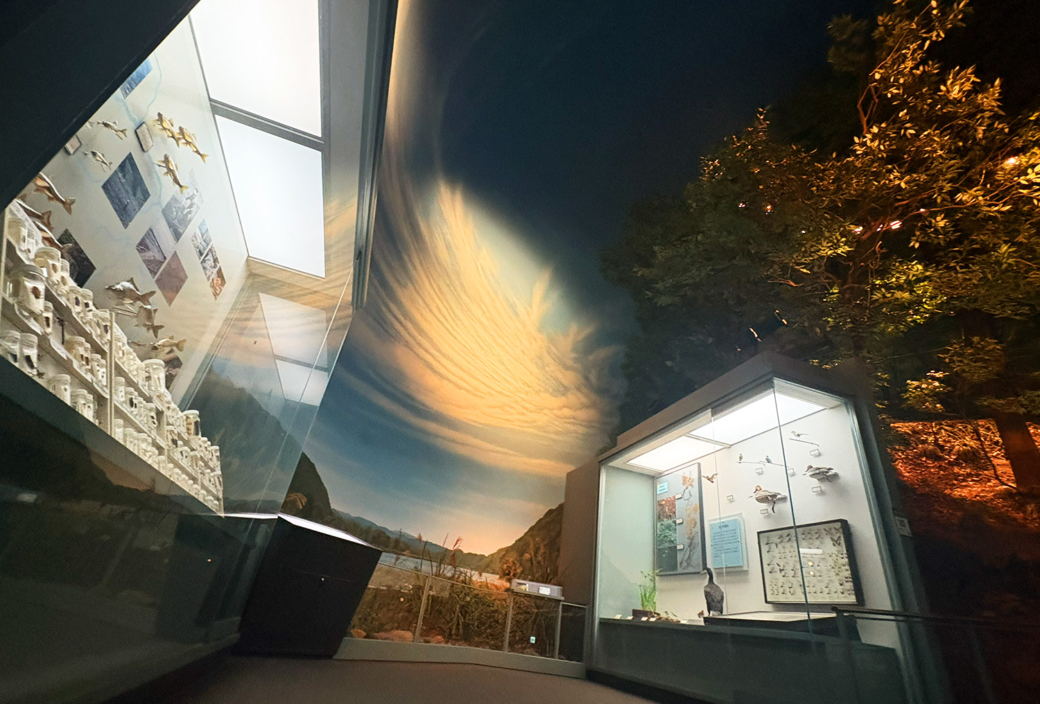 生きものミニサロン